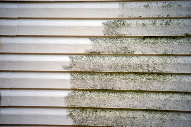 Best Storm Damage Siding Repair  in Black River, NY